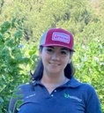 Tus Plantas Hablan: Descifrando los Mensajes de Sus Hojas
