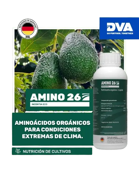 Amino 26