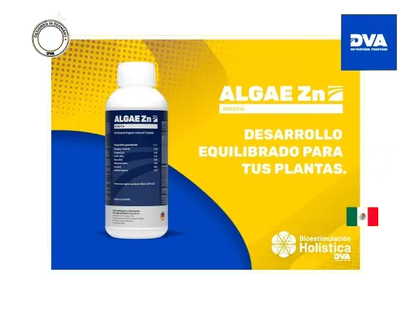 ALGAE Zn