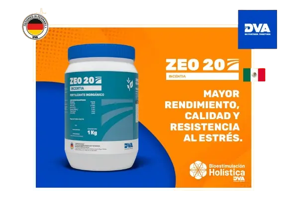 Zeo 20