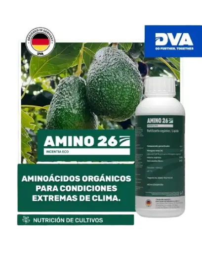 Amino 26