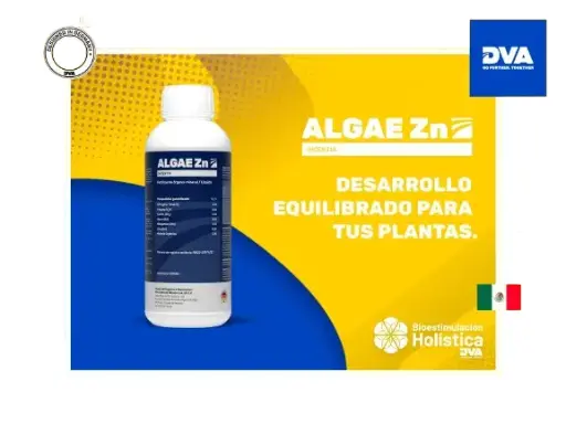 ALGAE Zn