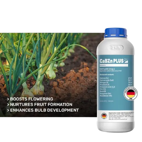 CaBZn PLUS