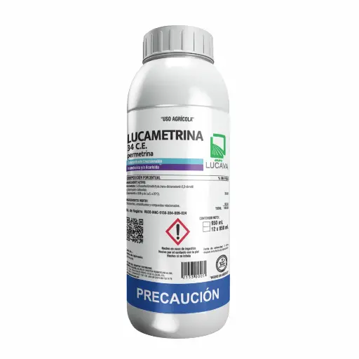 LUCAMETRINA 34 C.E.